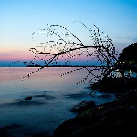 Style Place Maison d'hôtes 3*