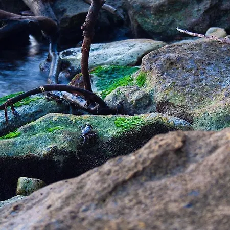 Style Place 3* Kiten (Burgas)