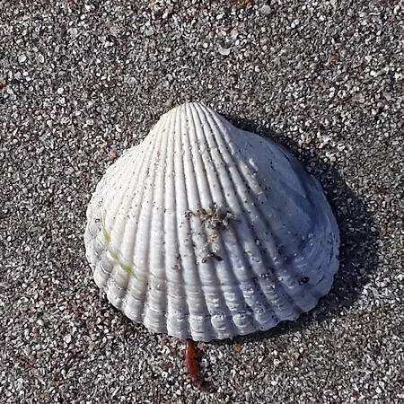 Style Place Maison d'hôtes 3*