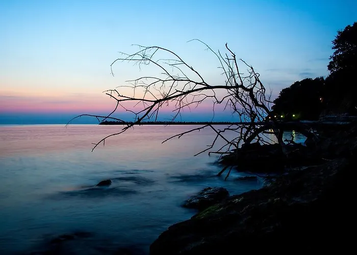 Style Place Къща за гости 3*