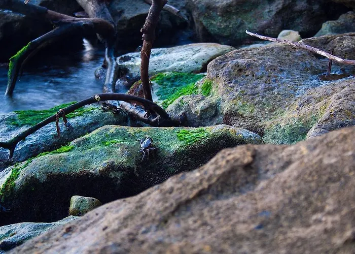 Style Place 3* Китен