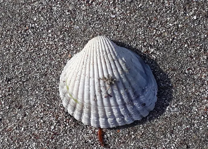 Style Place Guest house 3*